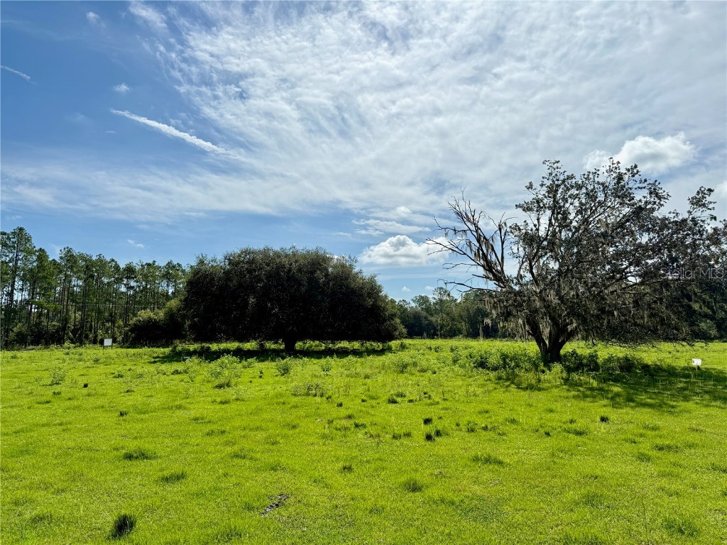 10460 Ehren Cutoff Land O Lakes FL 34639 TB8423493 image1