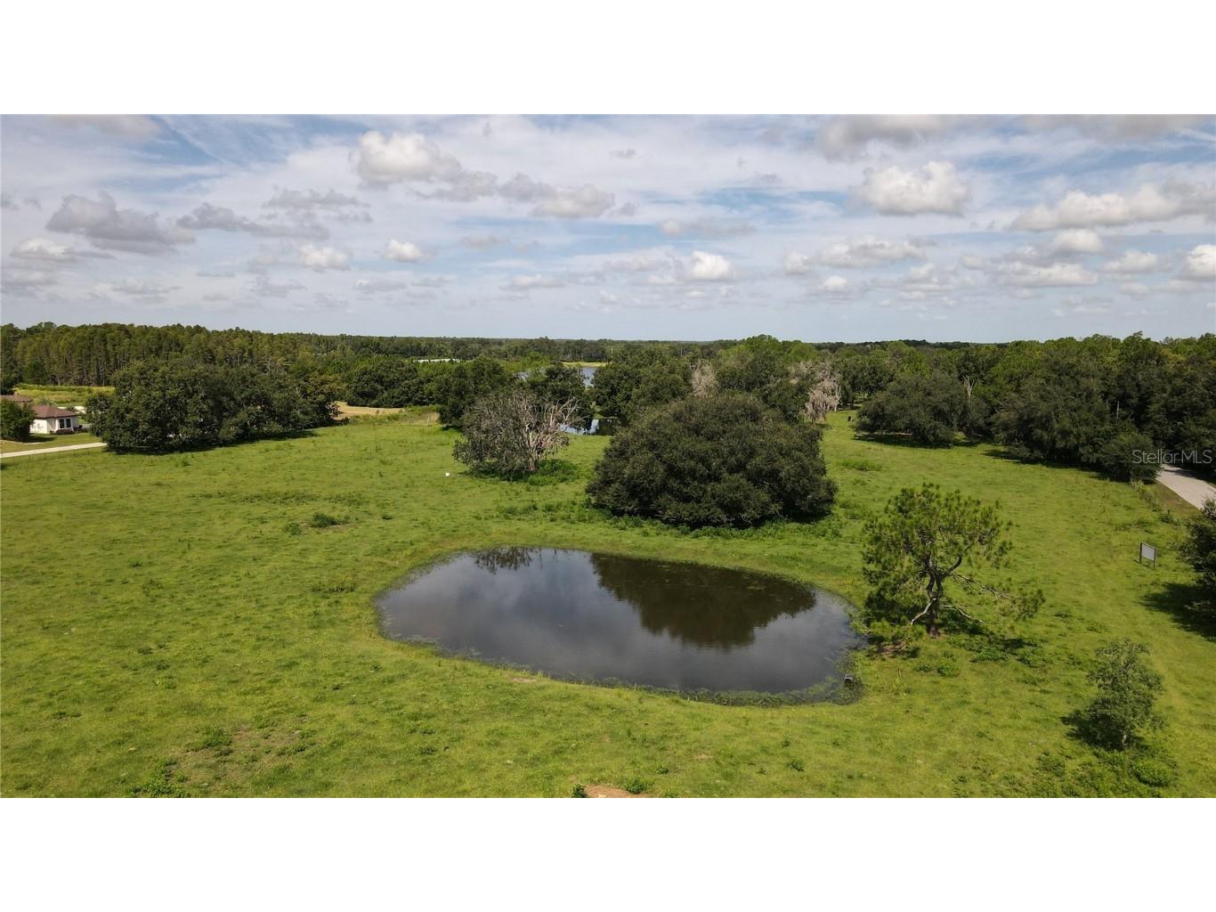 10460 Ehren Cutoff Land O Lakes FL 34639 TB8423493 image14