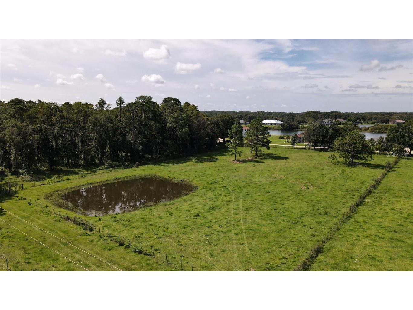 10460 Ehren Cutoff Land O Lakes FL 34639 TB8423493 image15