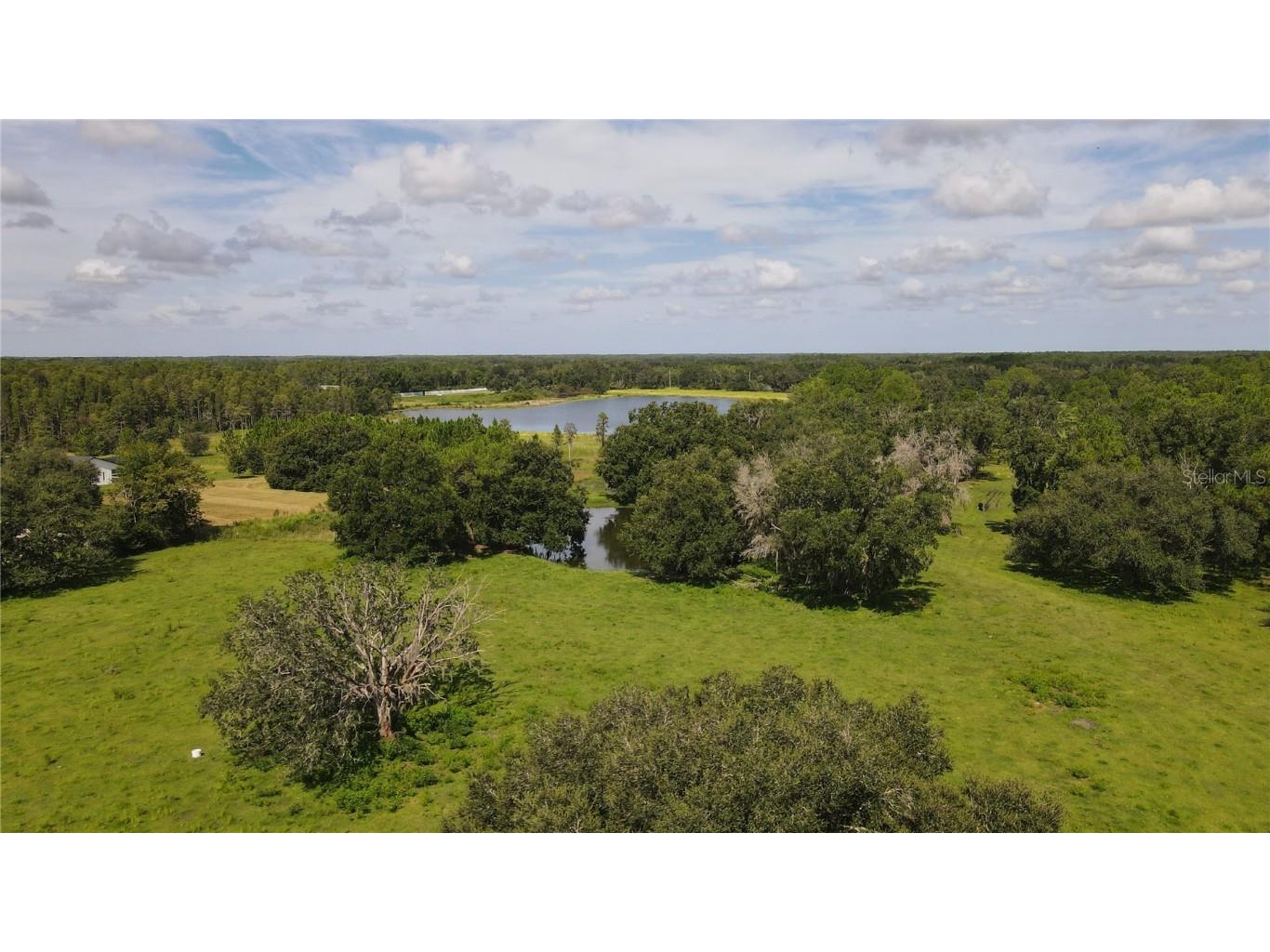 10460 Ehren Cutoff Land O Lakes FL 34639 TB8423493 image16