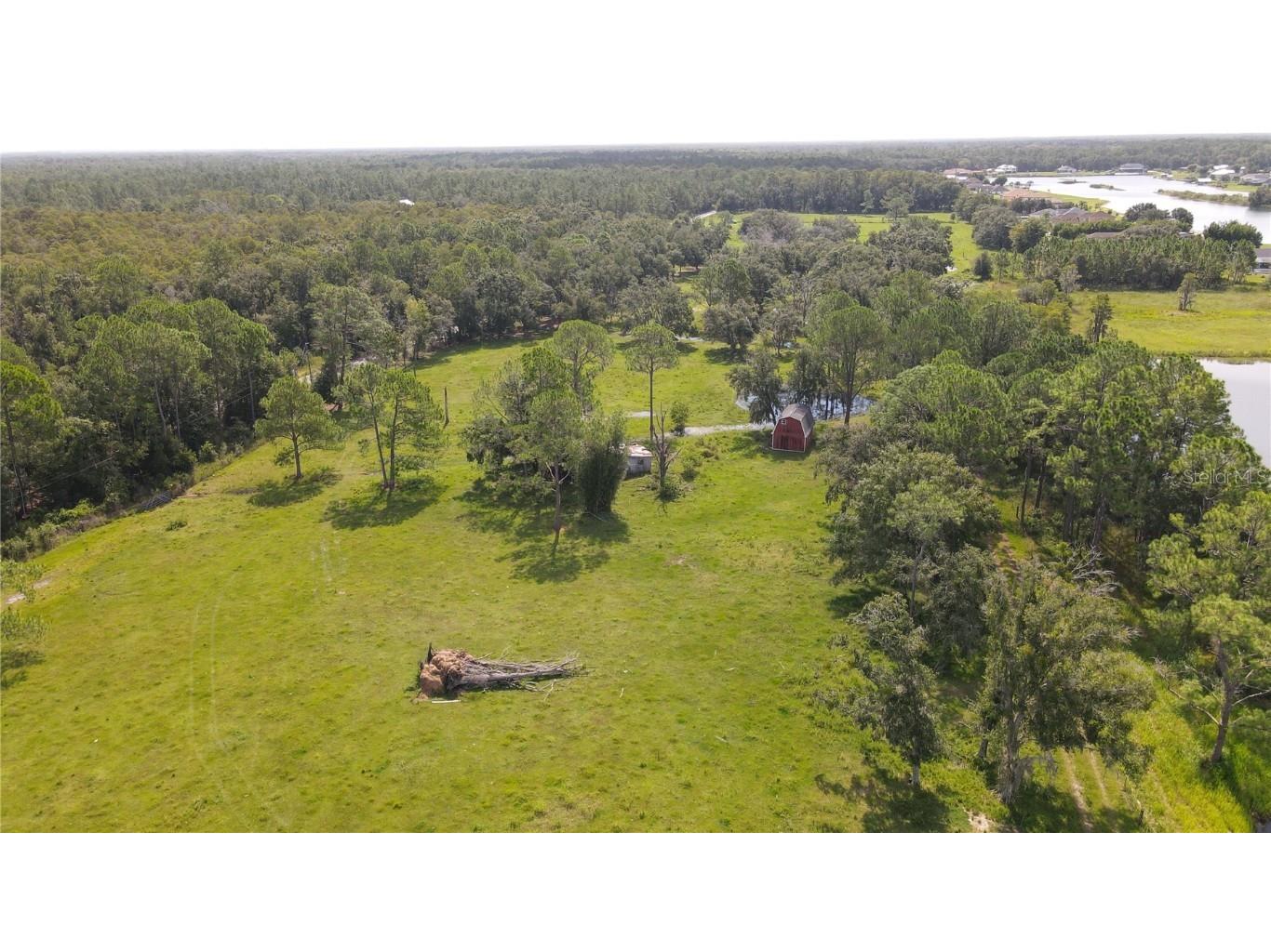 10460 Ehren Cutoff Land O Lakes FL 34639 TB8423493 image17