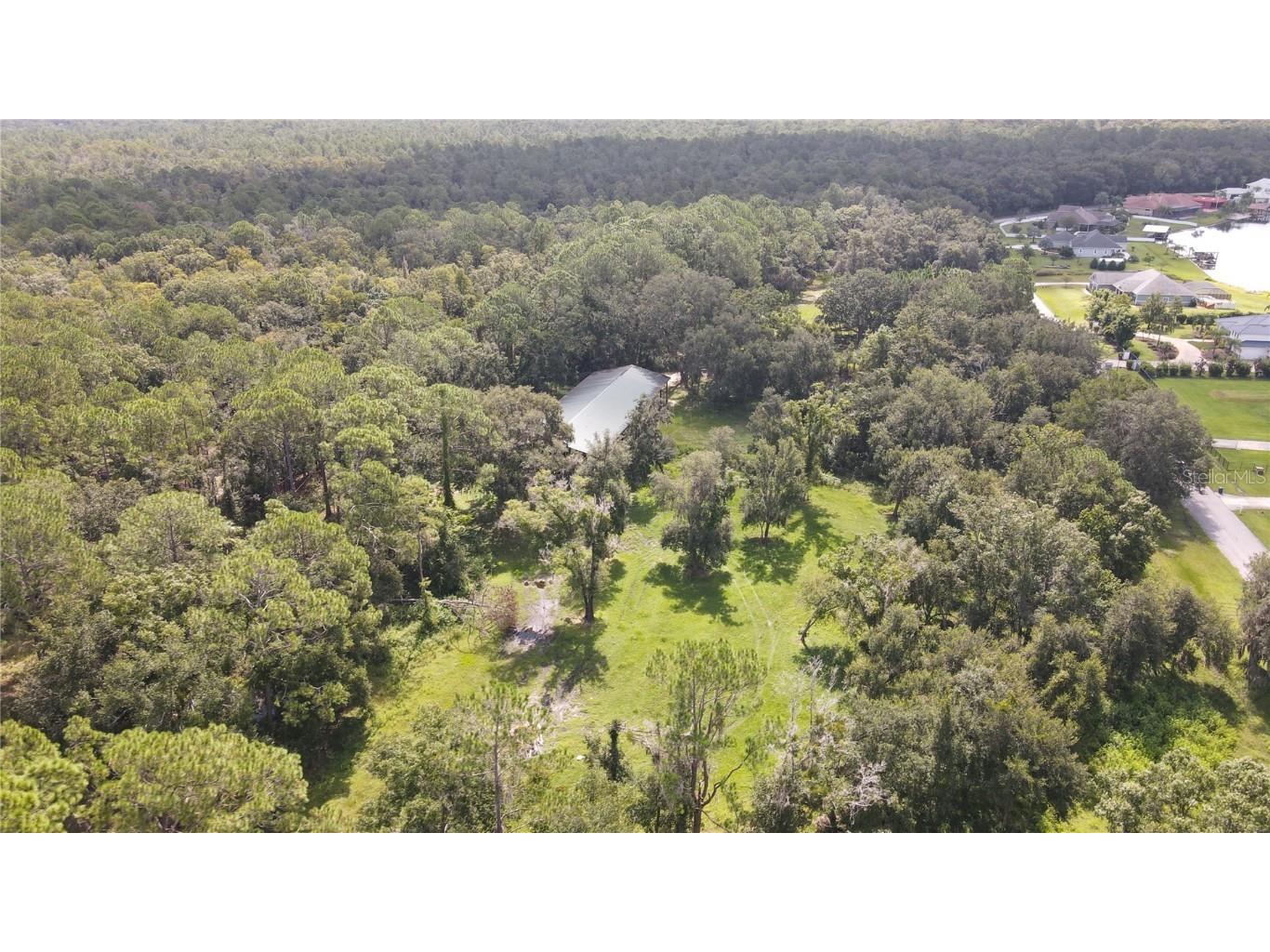 10460 Ehren Cutoff Land O Lakes FL 34639 TB8423493 image19