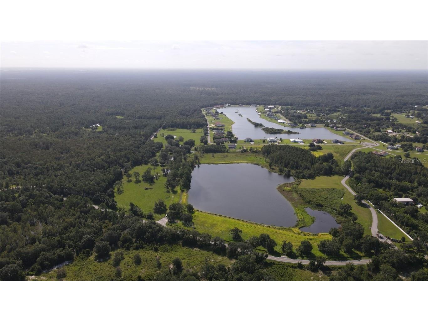 10460 Ehren Cutoff Land O Lakes FL 34639 TB8423493 image2