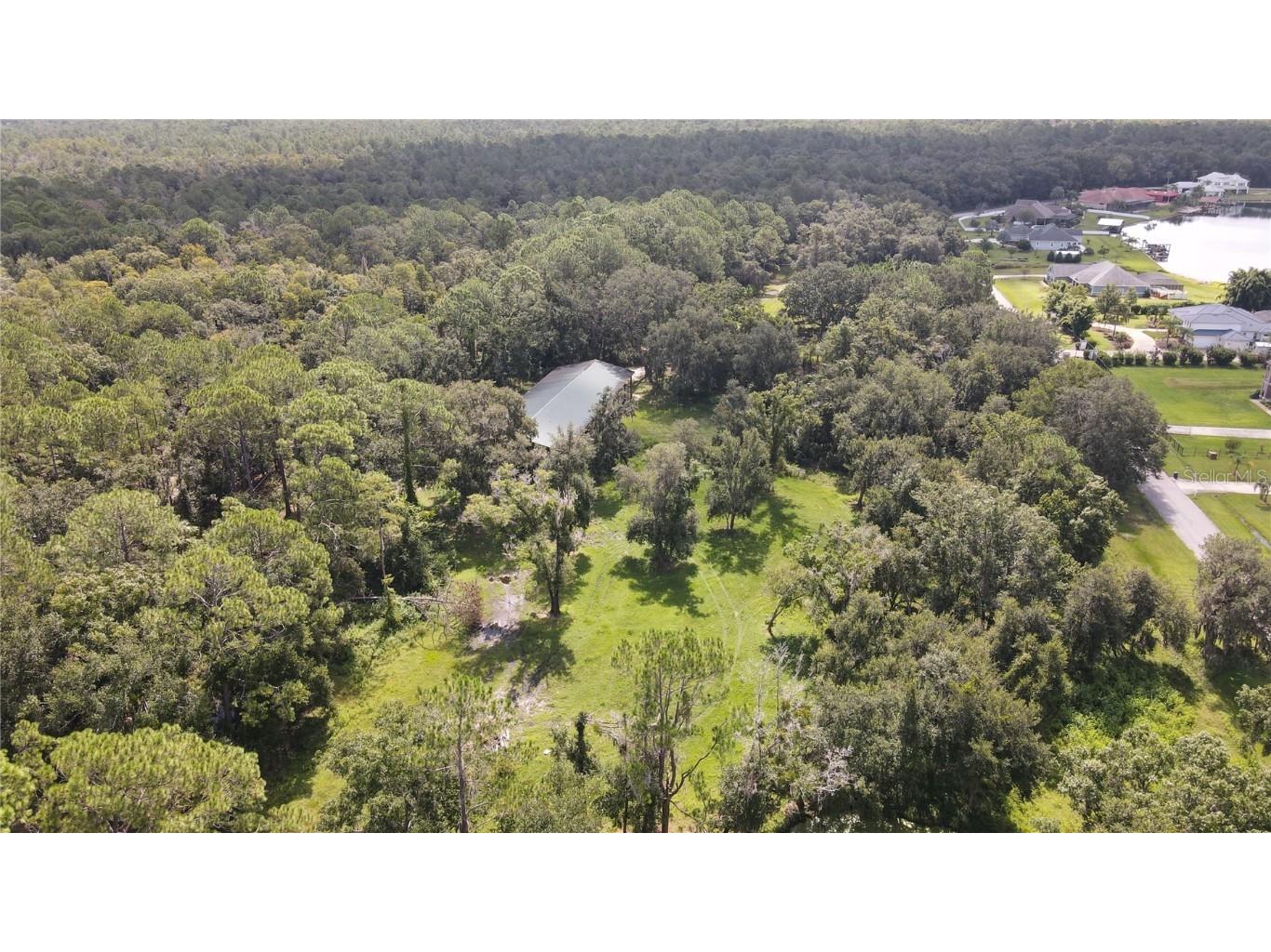 10460 Ehren Cutoff Land O Lakes FL 34639 TB8423493 image20