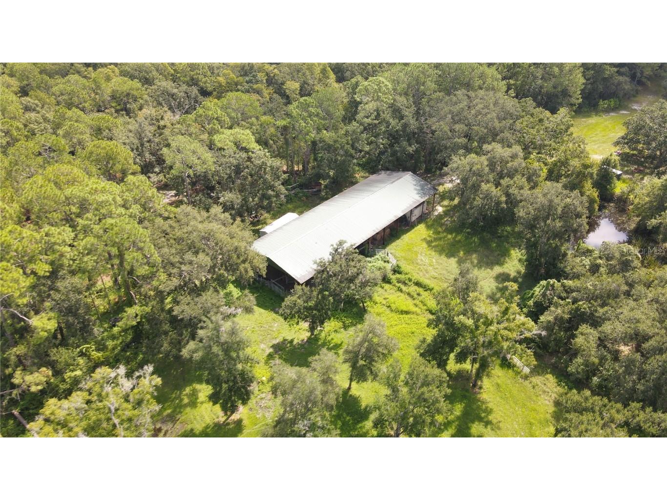 10460 Ehren Cutoff Land O Lakes FL 34639 TB8423493 image21