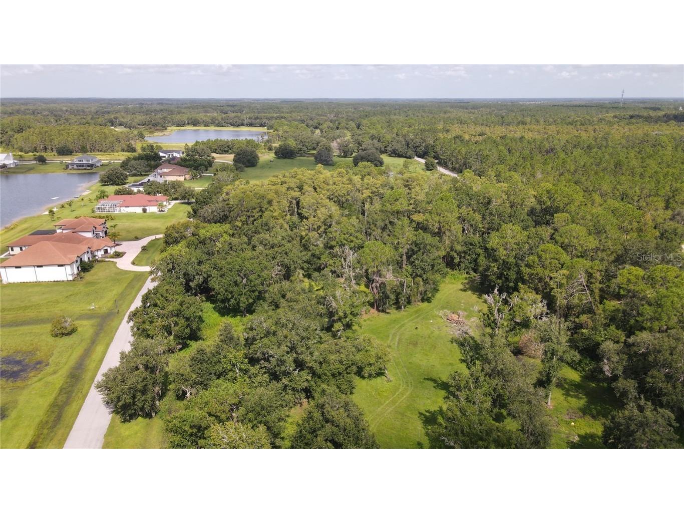 10460 Ehren Cutoff Land O Lakes FL 34639 TB8423493 image22
