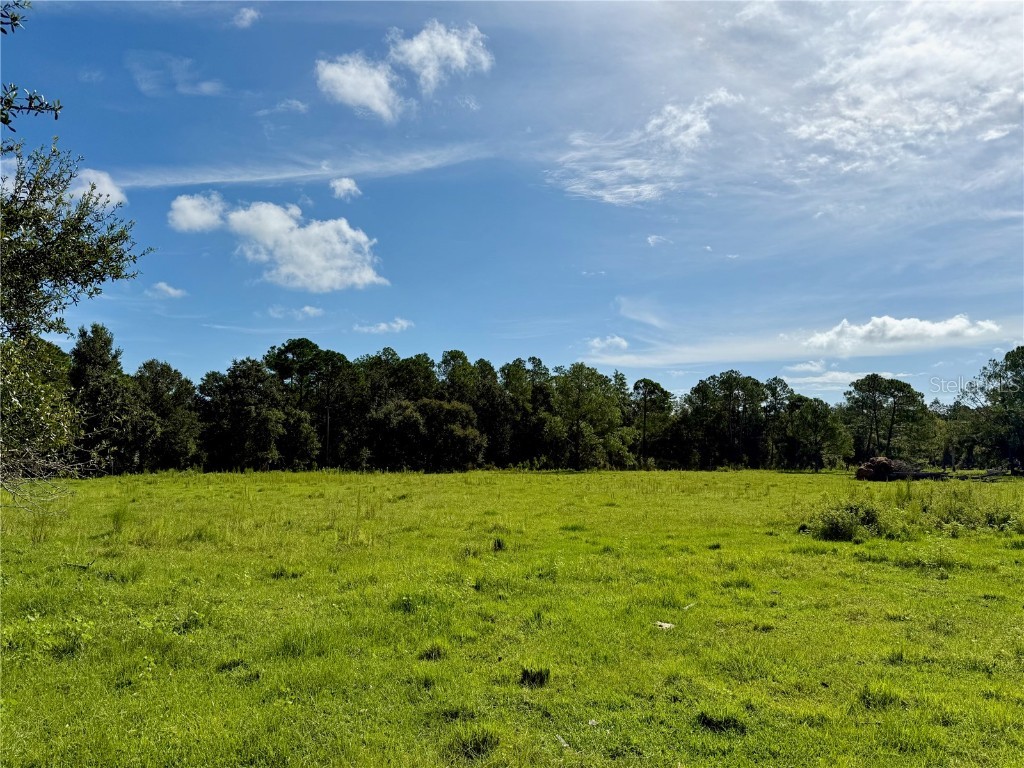 10460 Ehren Cutoff Land O Lakes FL 34639 TB8423493 image25