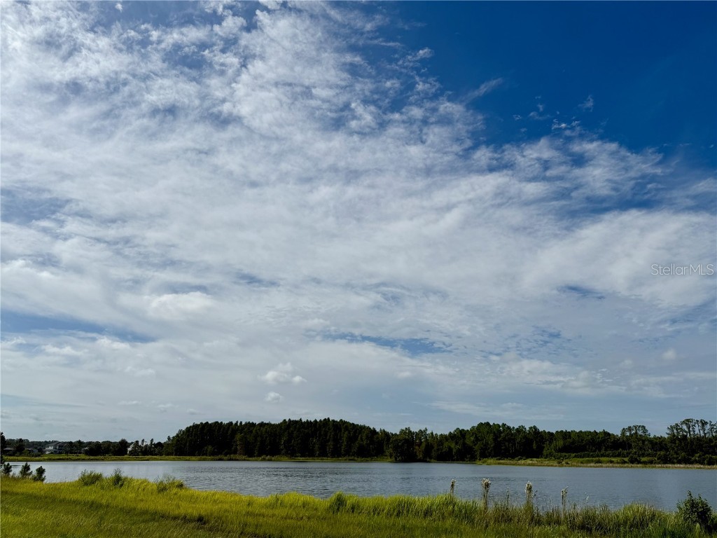 10460 Ehren Cutoff Land O Lakes FL 34639 TB8423493 image26