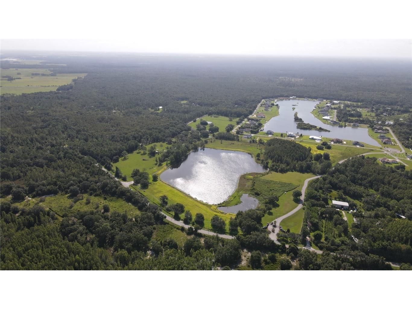 10460 Ehren Cutoff Land O Lakes FL 34639 TB8423493 image3