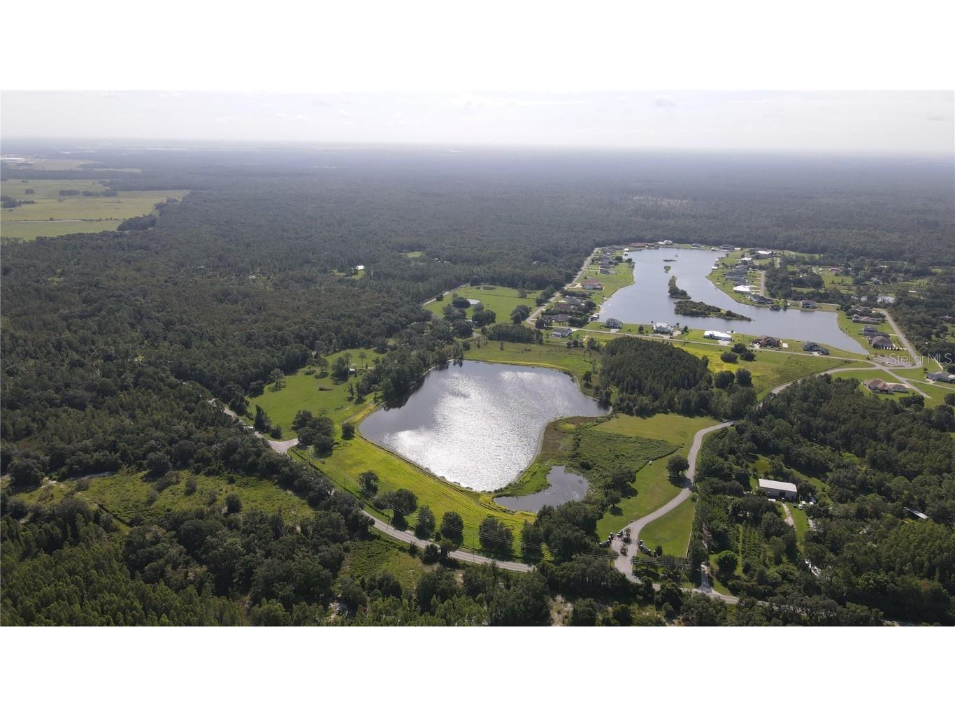 10460 Ehren Cutoff Land O Lakes FL 34639 TB8423493 image4