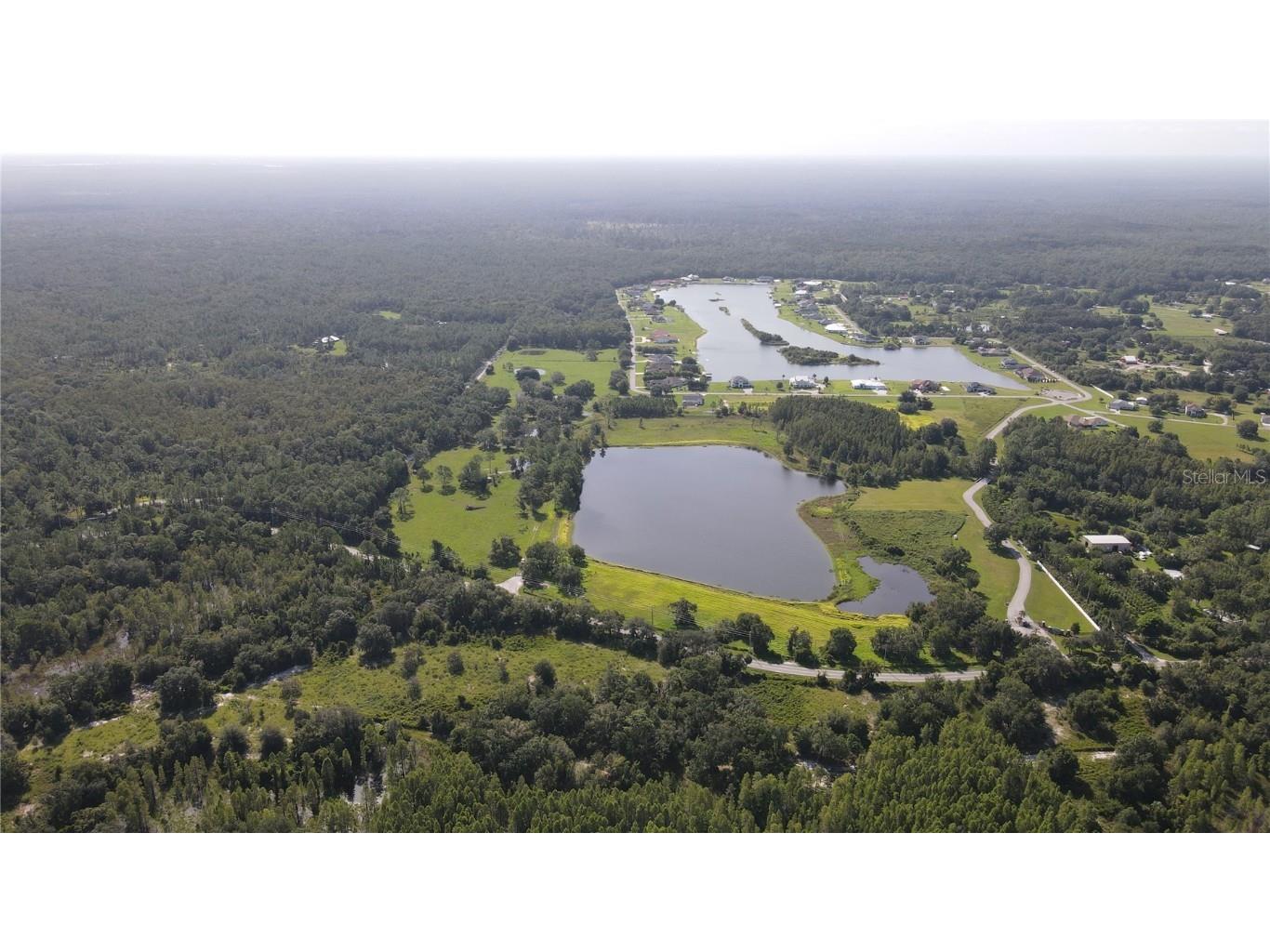 10460 Ehren Cutoff Land O Lakes FL 34639 TB8423493 image5