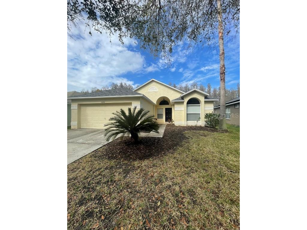 10460 Lucaya Drive Tampa FL 33647 T3508417 image1