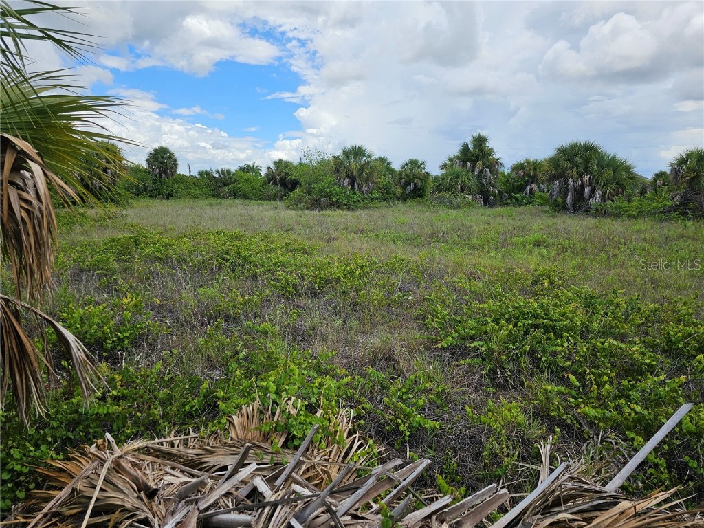 10460 New Brunswick Street Port Charlotte FL 33981 N6133792 image1