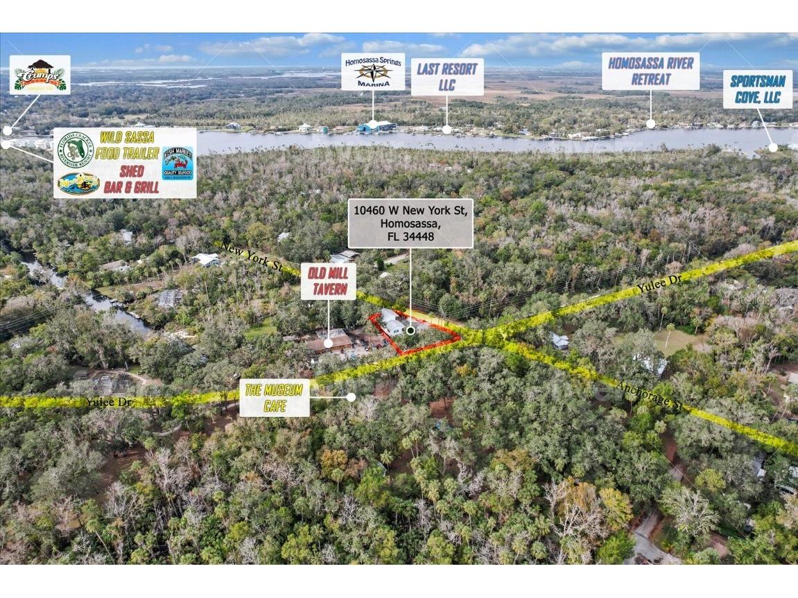 10460 W New York Street Homosassa FL 34448 TB8342343 image2