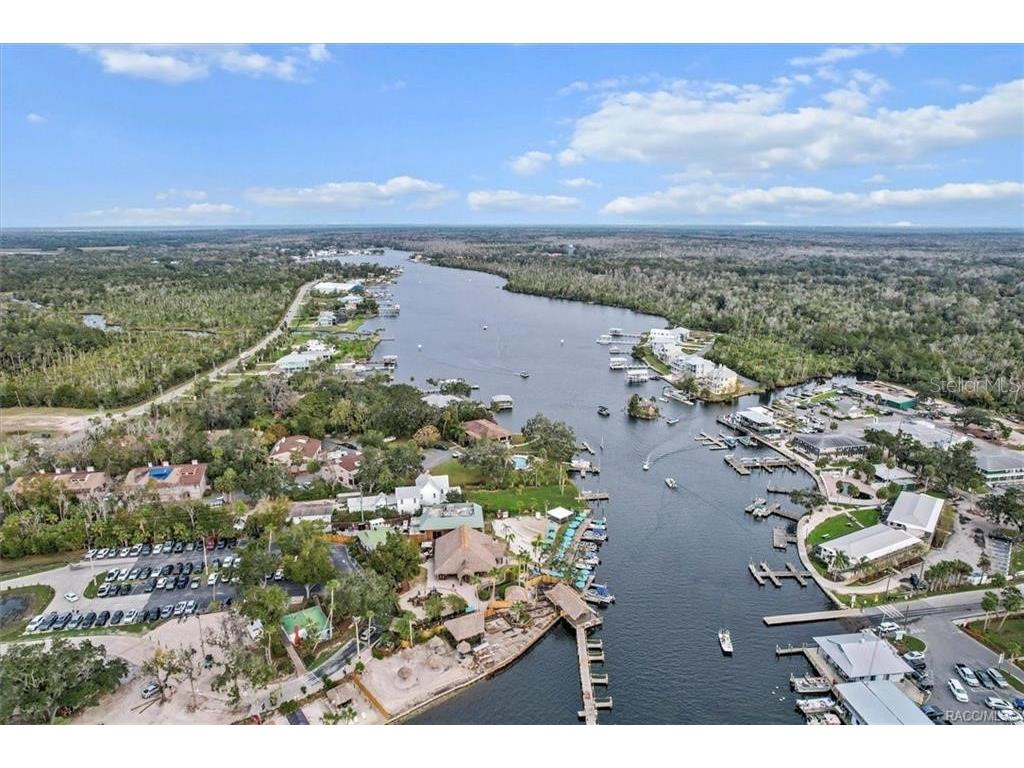 10460 W New York Street Homosassa FL 34448 TB8495824 image3
