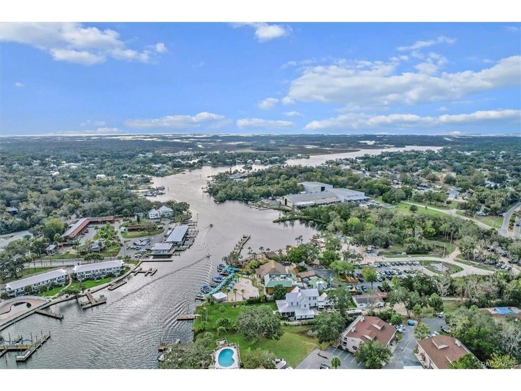 10460 W New York Street Homosassa FL 34448 TB8495824 image4