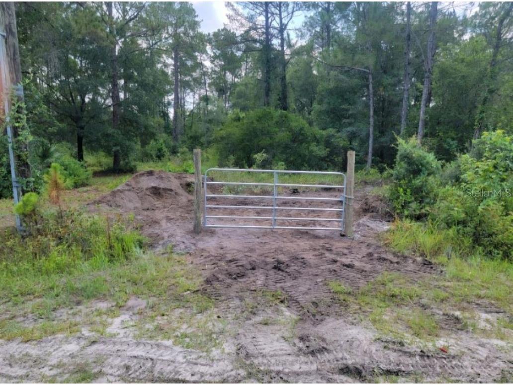 10460 Yeager Ave Hastings FL 32145 FC302747 image1