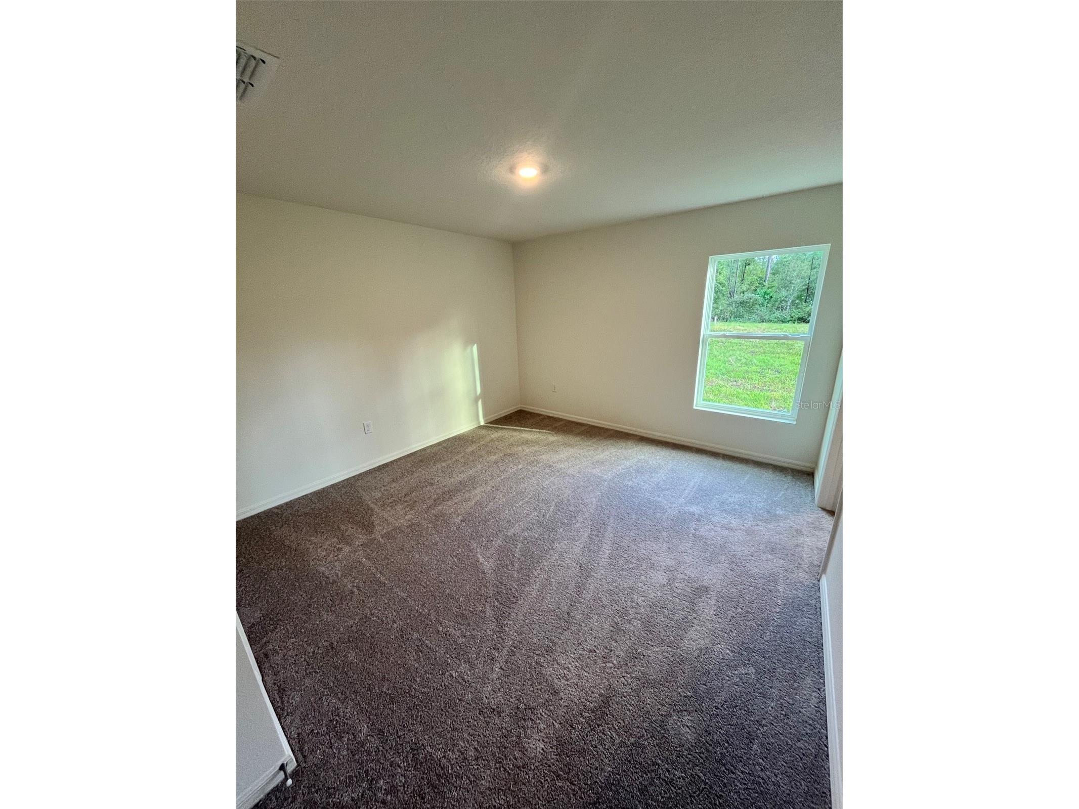 10460 Yeager Avenue Hastings FL 32145 C7520639 image6