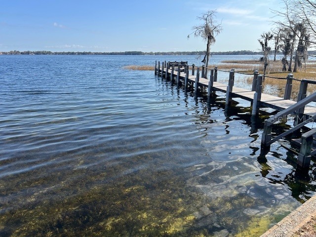 10461 Wiscane Avenue Orlando FL 32836 - LAKE SHEEN O6411280 image56