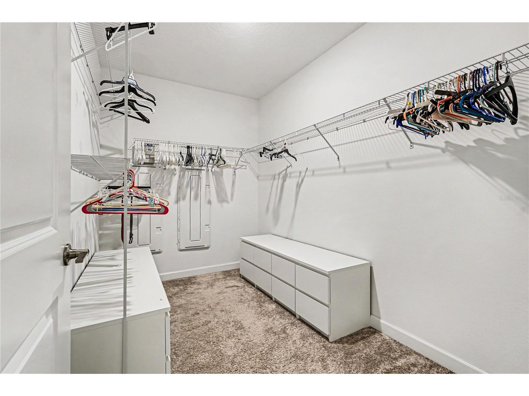 10462 Weldon Cork Way San Antonio FL 33576 TB8514273 image22