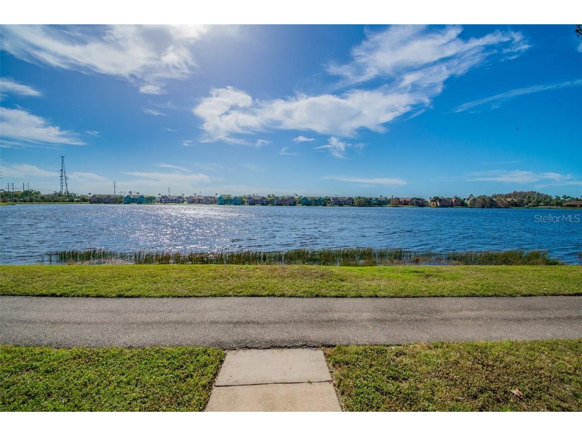 10462 White Lake Court Tampa FL 33626 TB8448596 image46