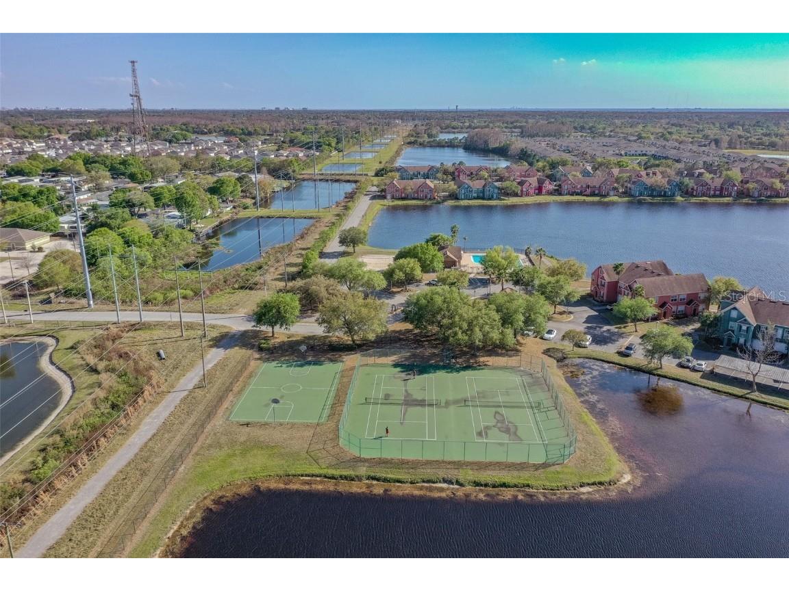 10462 White Lake Court Tampa FL 33626 TB8448596 image52