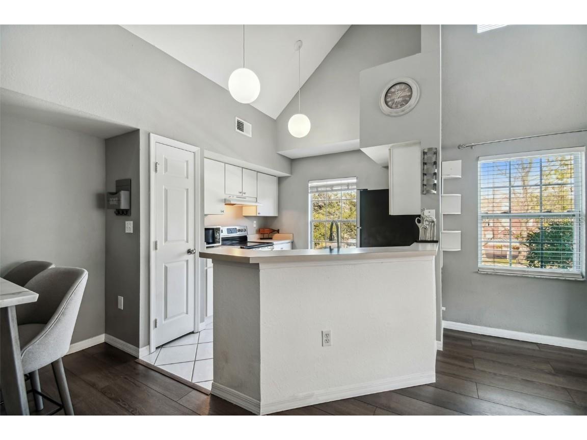 10462 White Lake Court Tampa FL 33626 TB8448596 image6