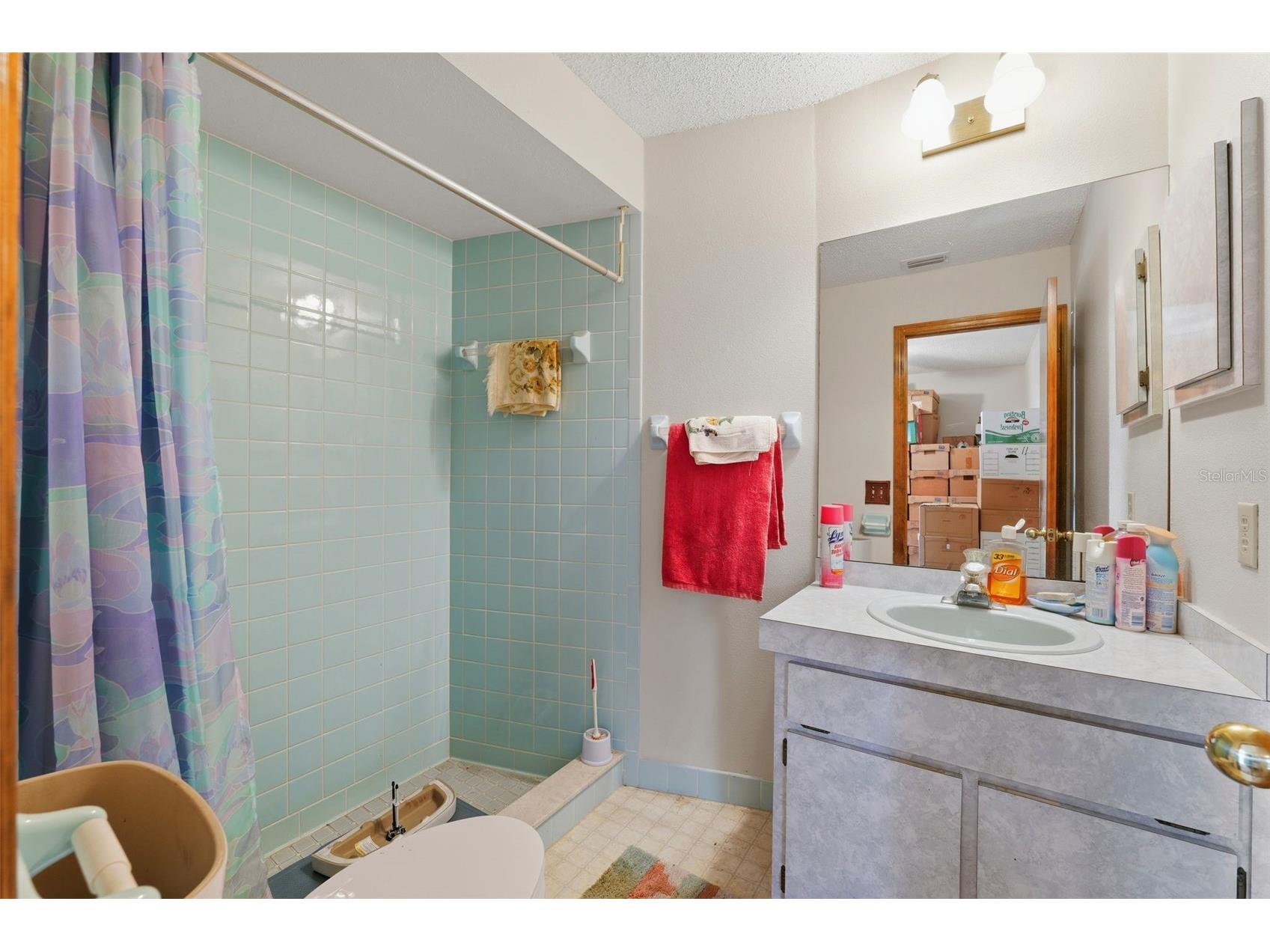 10464 Maderia Street Spring Hill FL 34608 W7884778 image18