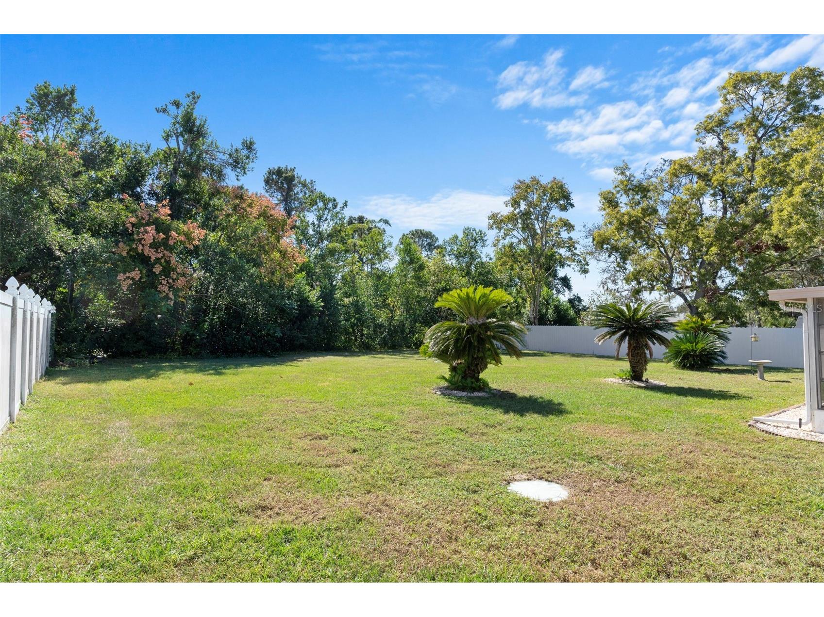 10464 Mayflower Road Spring Hill FL 34608 W7884894 image33