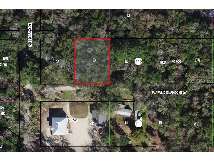 10465 W Larchwood Street Homosassa FL 34448 G5100494 image1