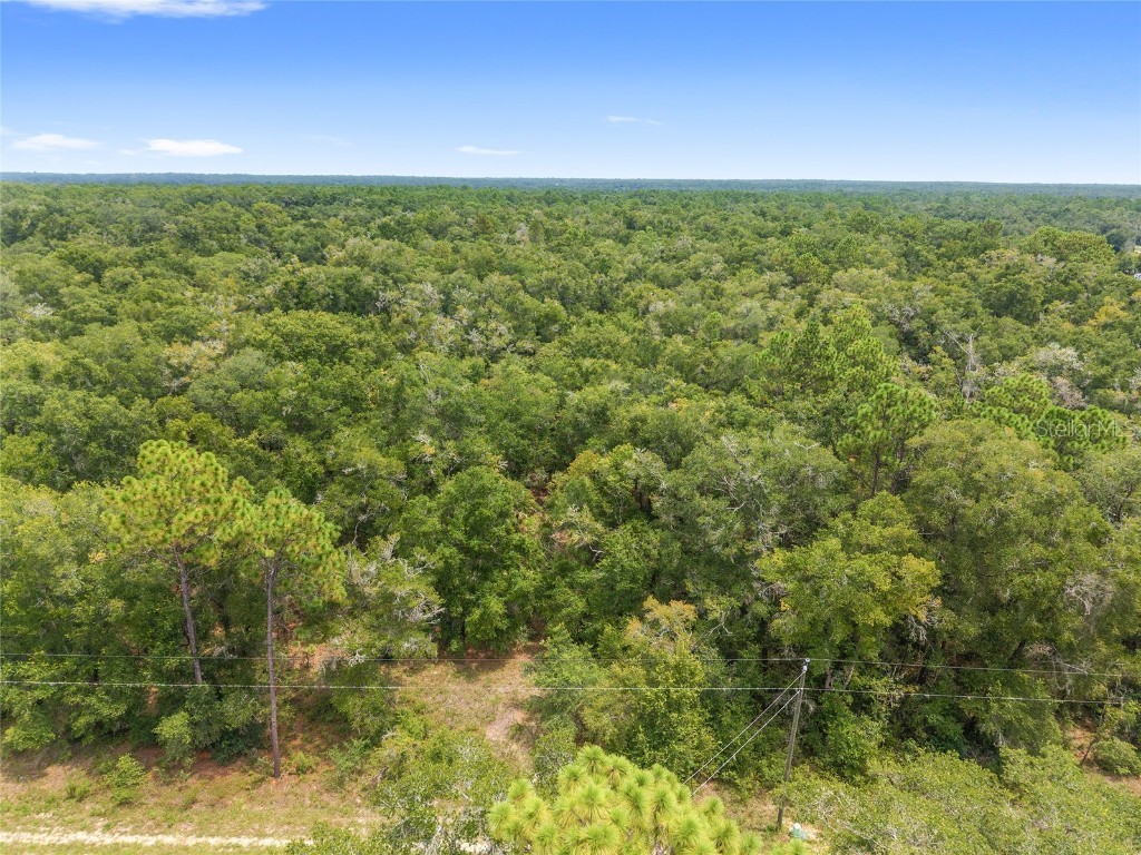 10467 N Citrus Avenue Crystal River FL 34428 OM707947 image10