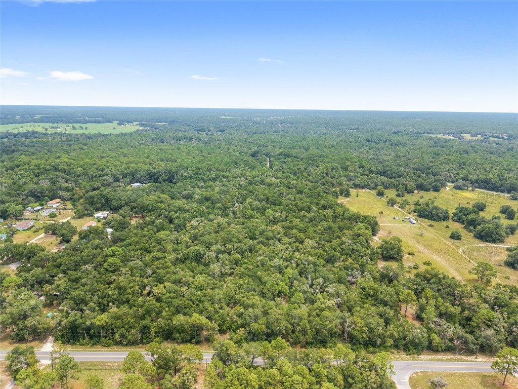 10467 N Citrus Avenue Crystal River FL 34428 OM707947 image3