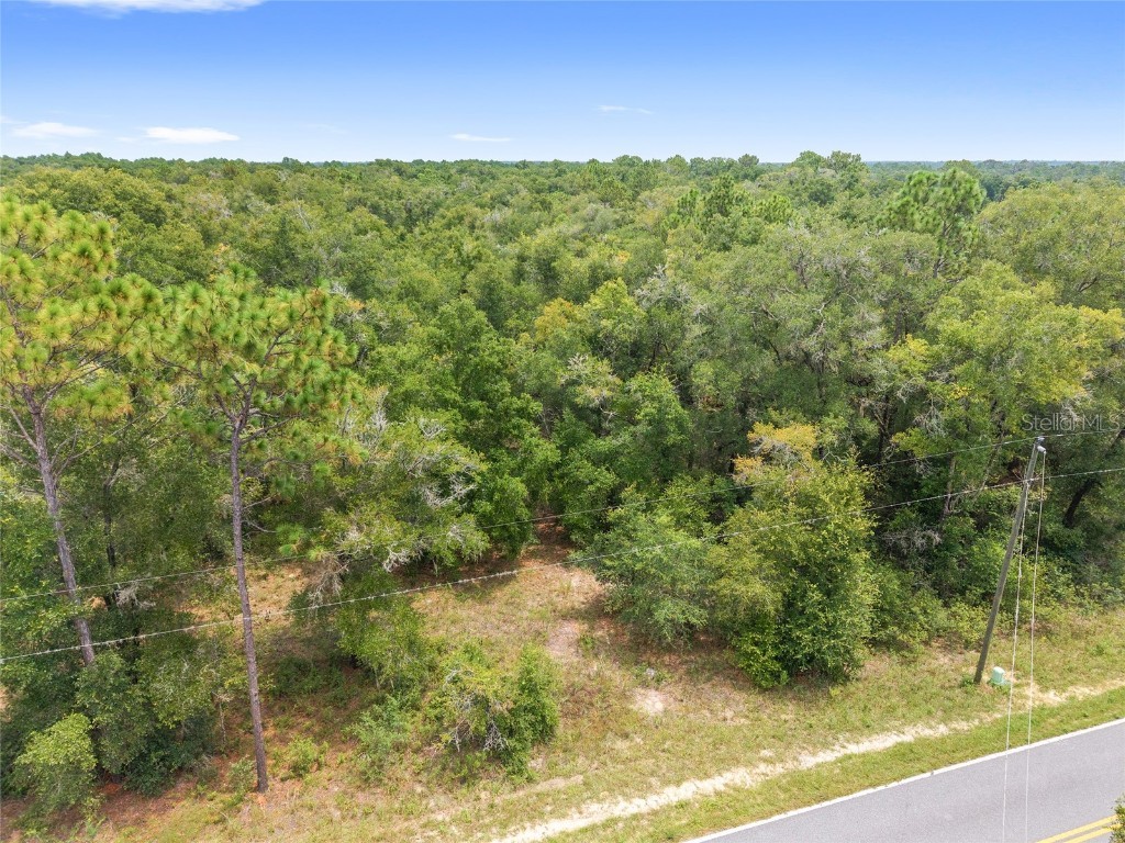 10467 N Citrus Avenue Crystal River FL 34428 OM707947 image6