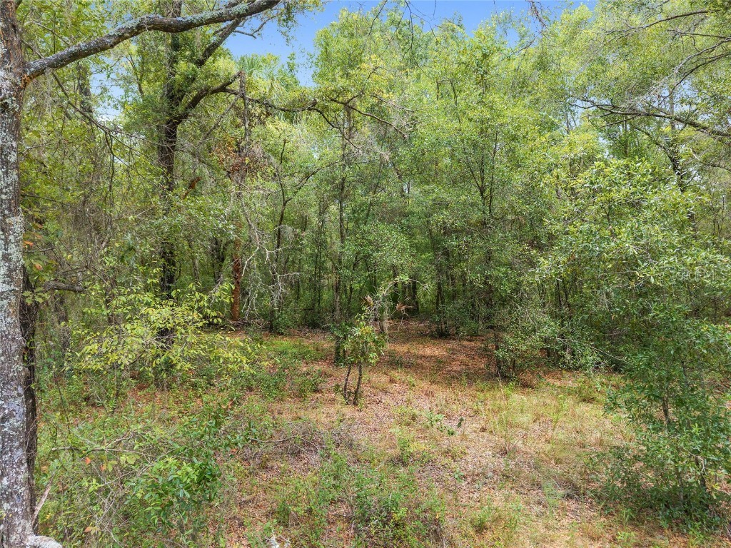 10467 N Citrus Avenue Crystal River FL 34428 OM707947 image8