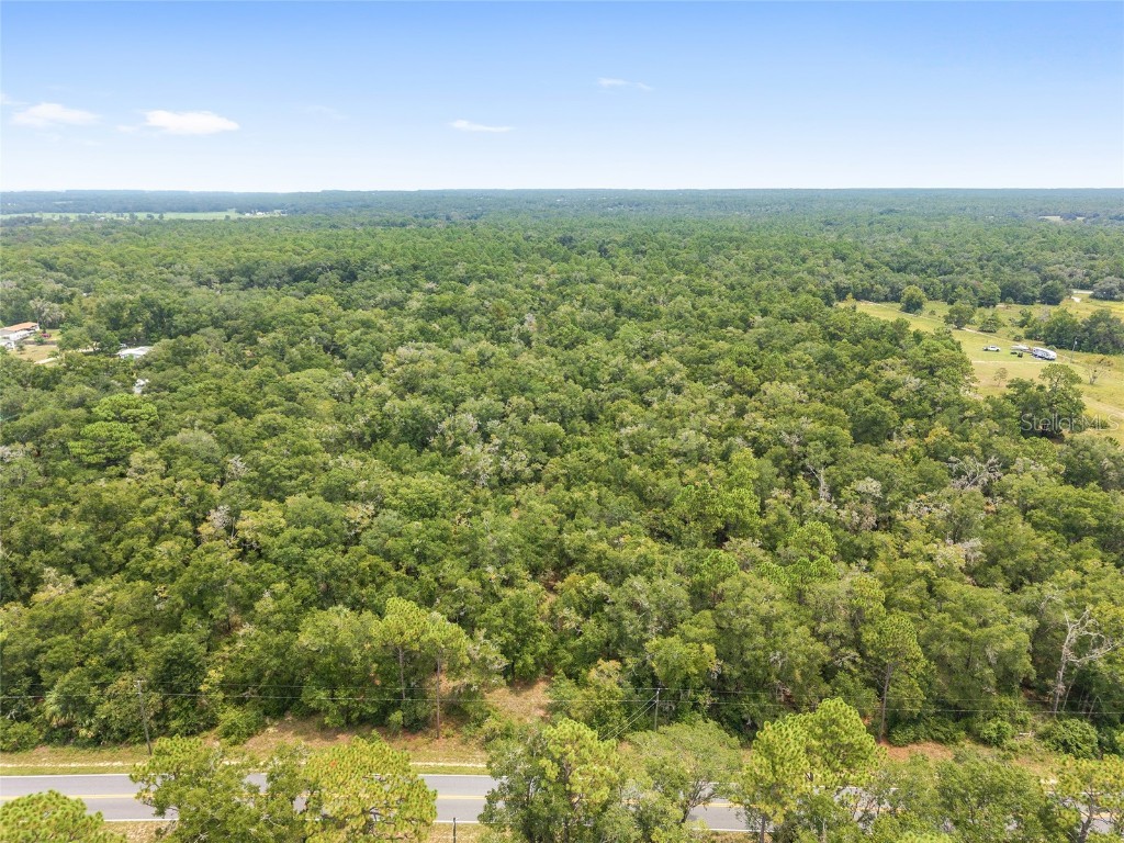 10467 N Citrus Avenue Crystal River FL 34428 OM707947 image9