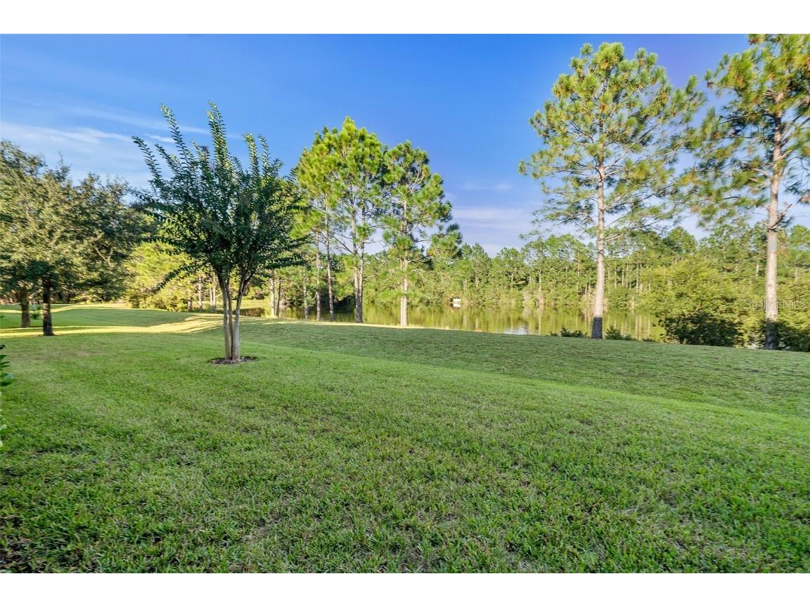 1047 Kilkenny Lane Ormond Beach FL 32174 FC313504 image41