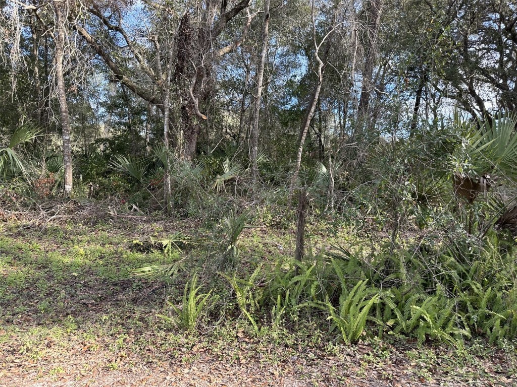 1047 SE 172nd Avenue Silver Springs FL 34488 OM671374 image1