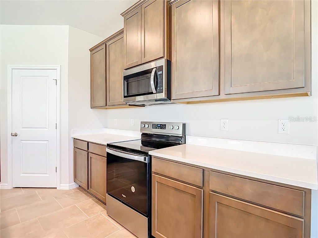 10471 Bridgegate Heights Loop San Antonio FL 33576 - CRYSTAL LAGOON TB8445691 image23