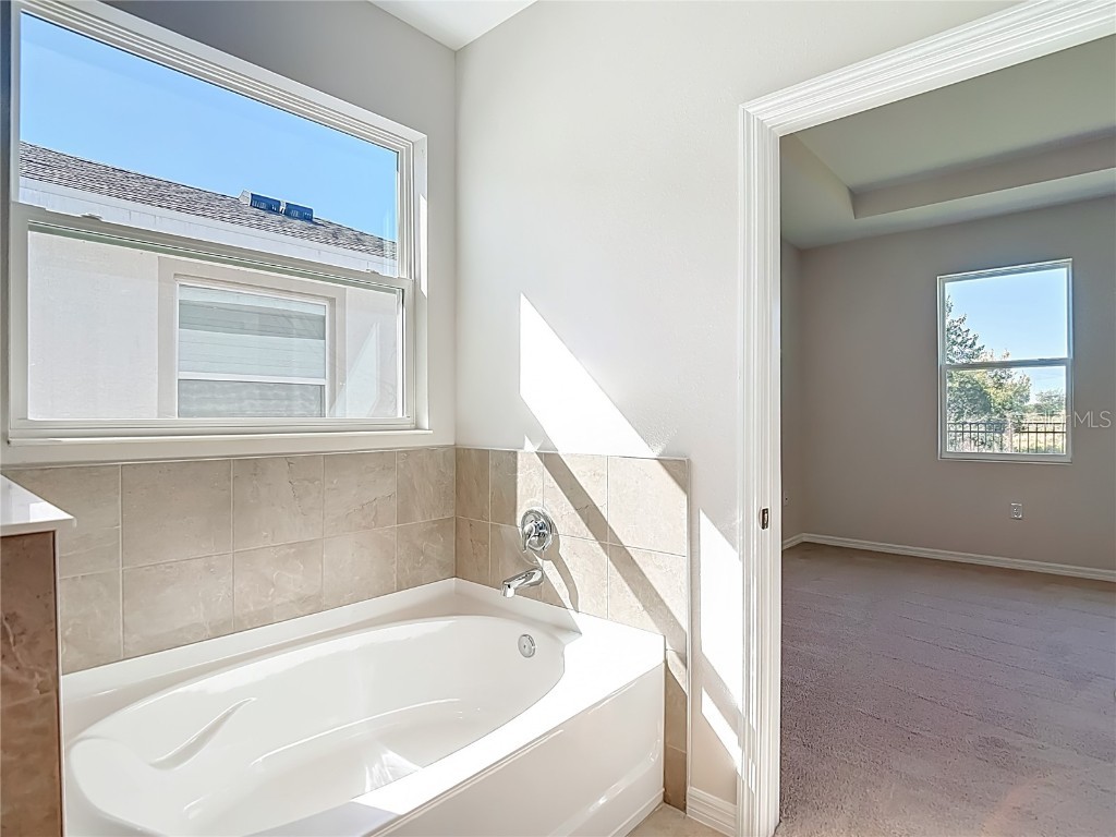 10471 Bridgegate Heights Loop San Antonio FL 33576 - CRYSTAL LAGOON TB8445691 image48