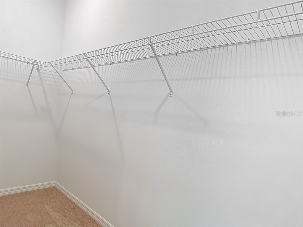 10471 Bridgegate Heights Loop San Antonio FL 33576 - CRYSTAL LAGOON TB8445691 image49