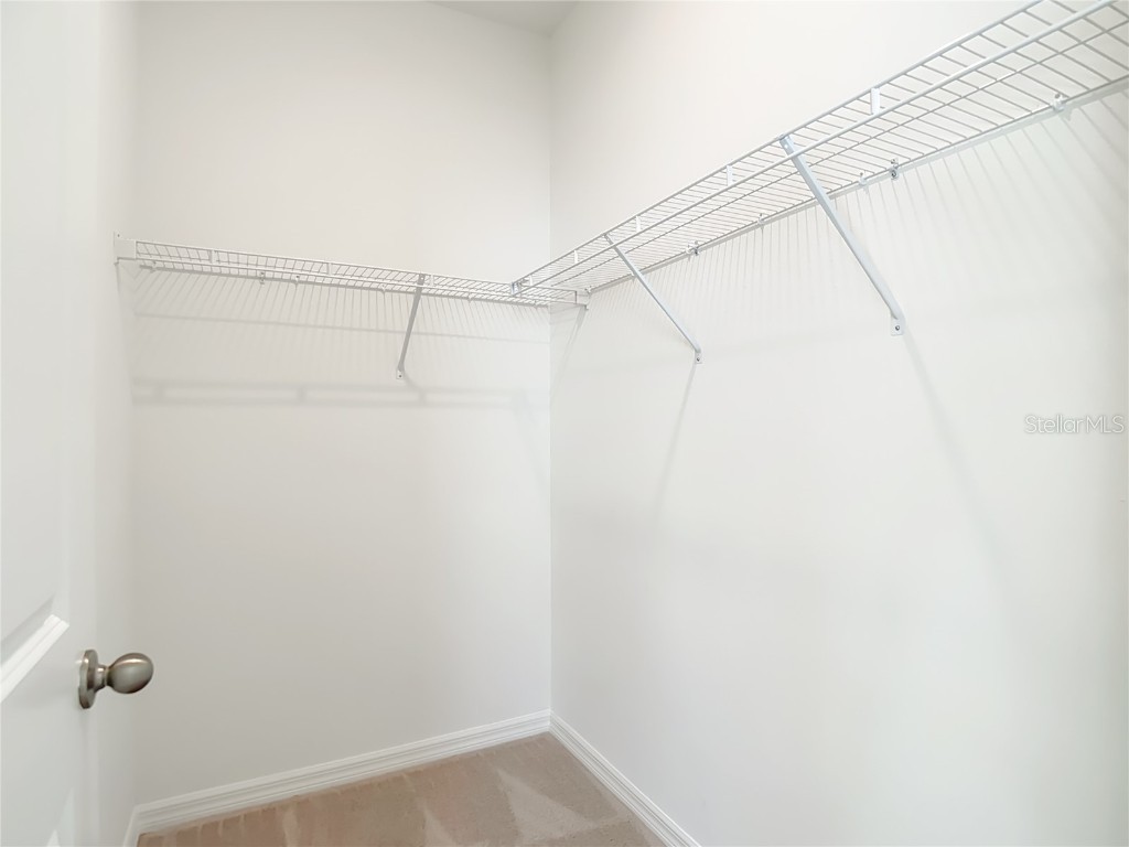 10471 Bridgegate Heights Loop San Antonio FL 33576 - CRYSTAL LAGOON TB8445691 image54