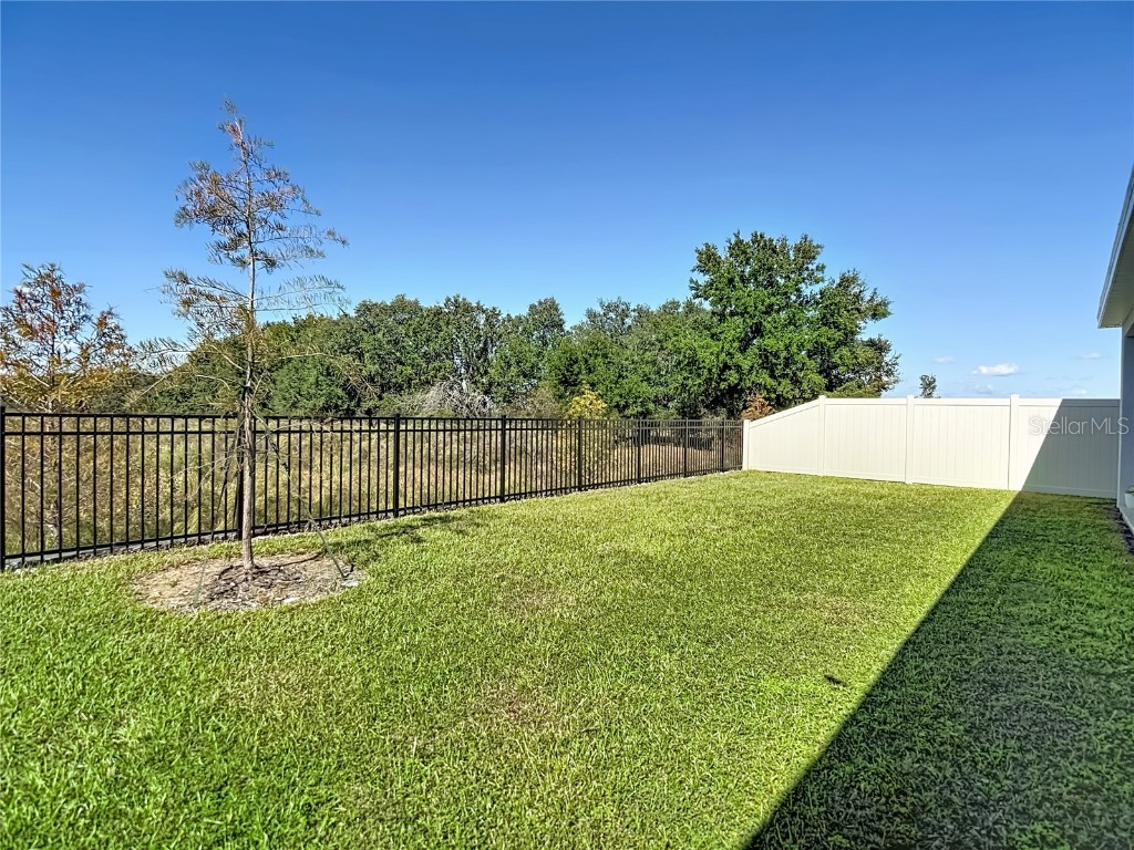 10471 Bridgegate Heights Loop San Antonio FL 33576 - CRYSTAL LAGOON TB8445691 image70