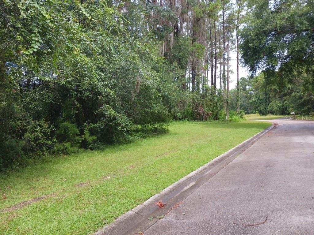 10472 N Big Bass Trail Dunnellon FL 34434 OM663115 image1