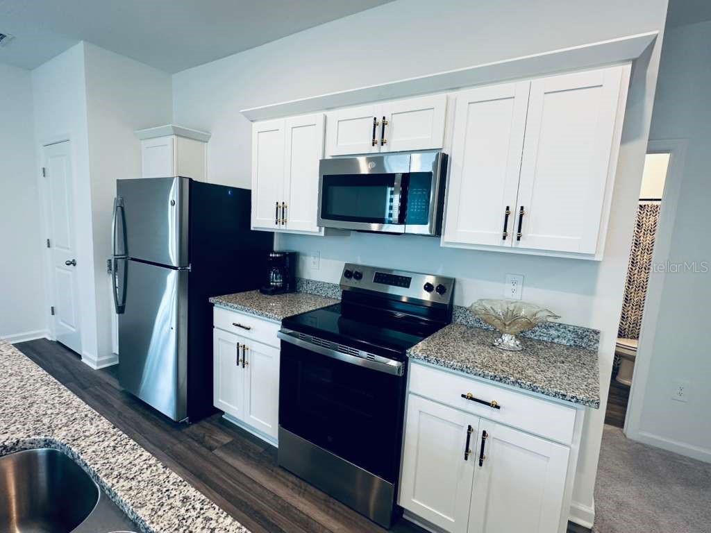 10473 Curving Creek Loop Parrish FL 34219 TB8515035 image5