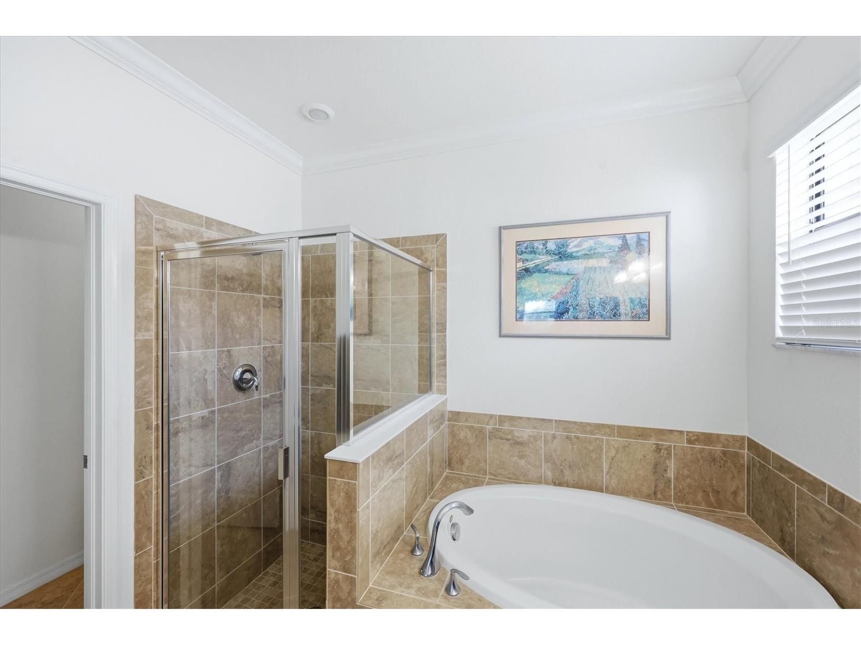 10474 Medjool Drive Venice FL 34293 N6143855 image46