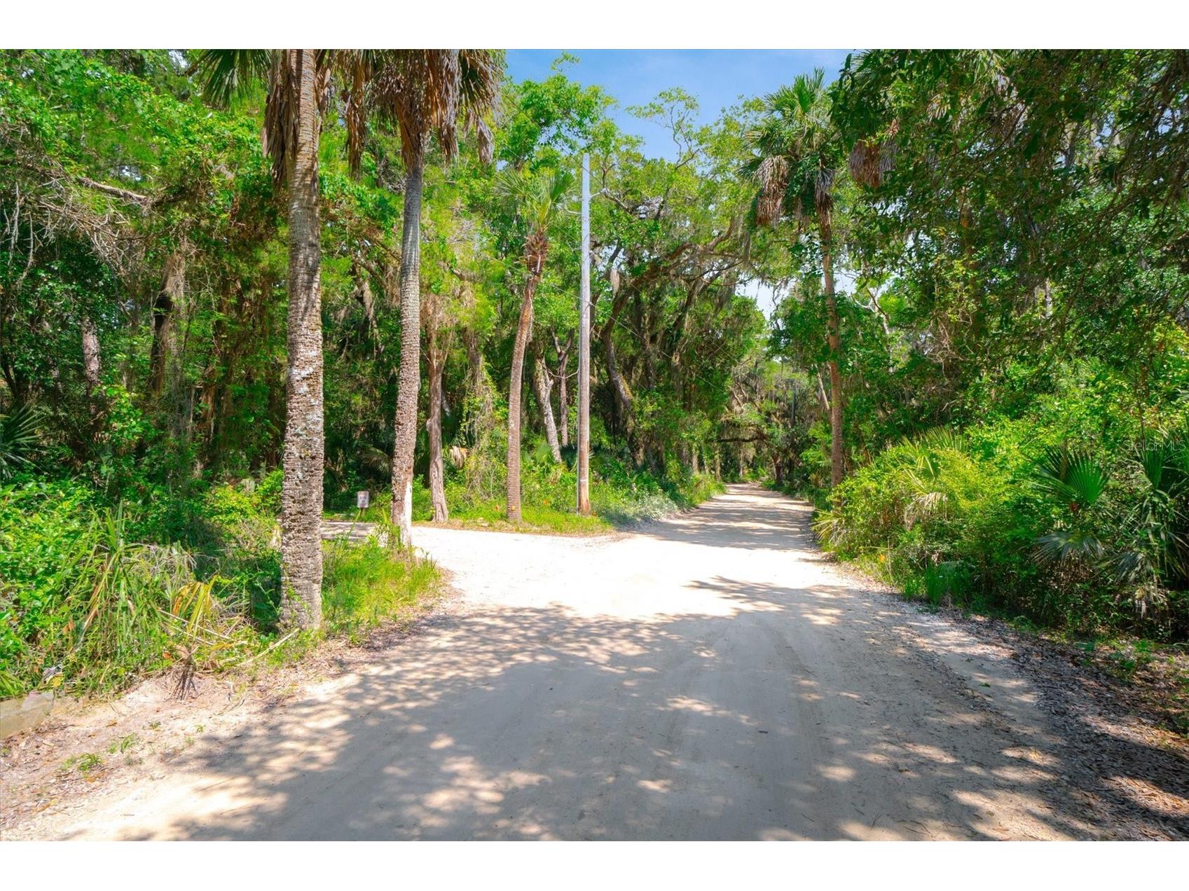 10474 Salt Marsh Trail Jacksonville FL 32226 FC318808 image10