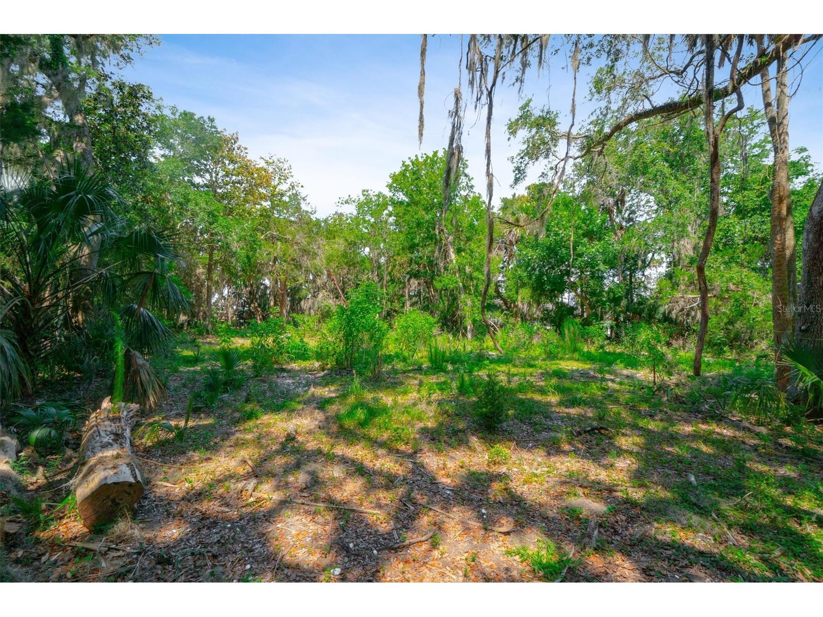 10474 Salt Marsh Trail Jacksonville FL 32226 FC318808 image13