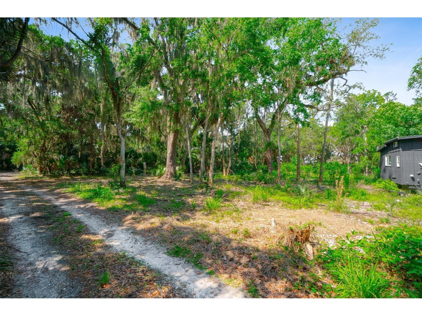 10474 Salt Marsh Trail Jacksonville FL 32226 FC318808 image14