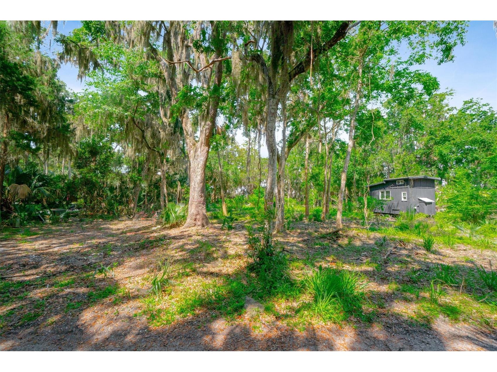 10474 Salt Marsh Trail Jacksonville FL 32226 FC318808 image15