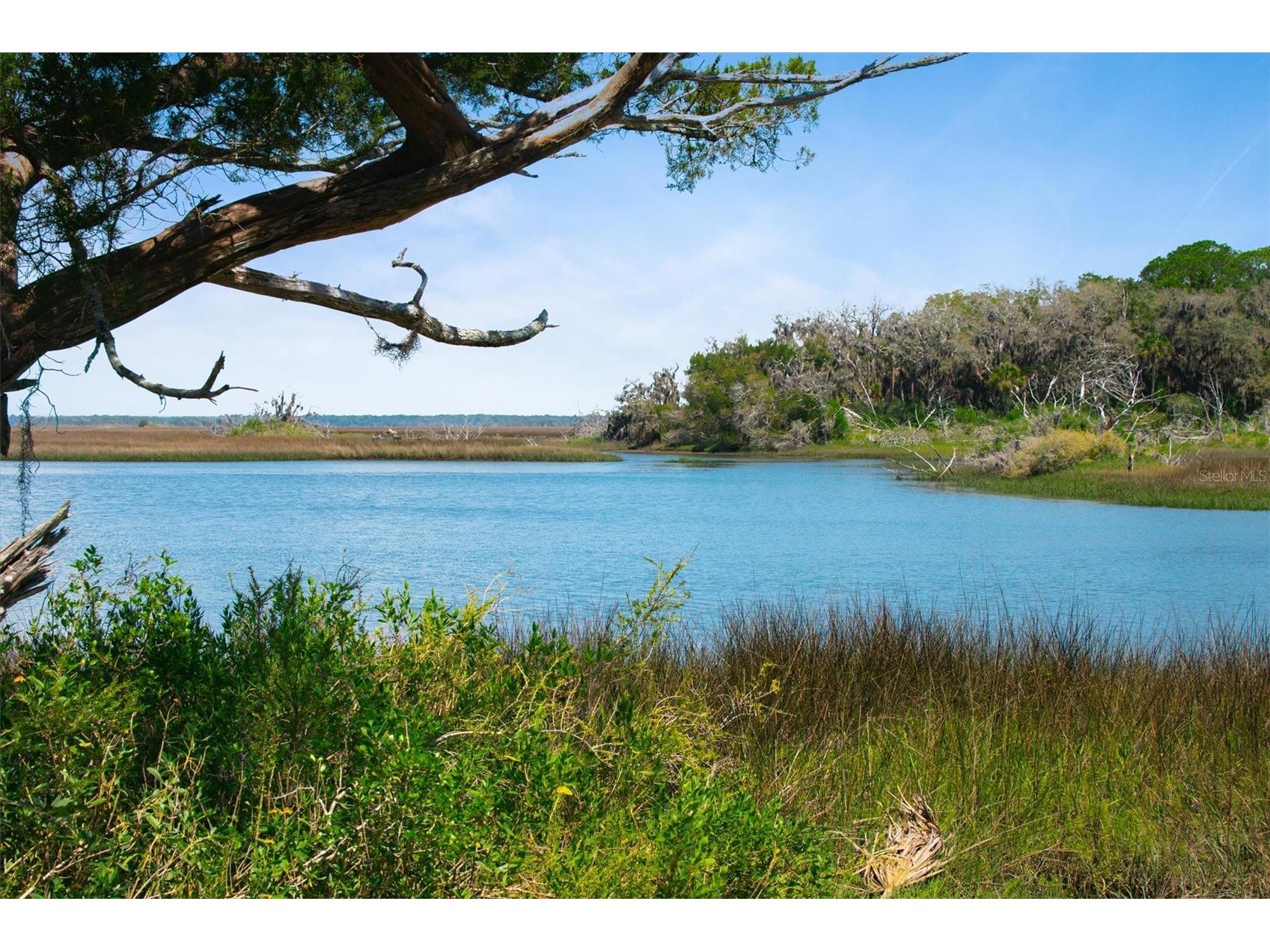 10474 Salt Marsh Trail Jacksonville FL 32226 FC318808 image3